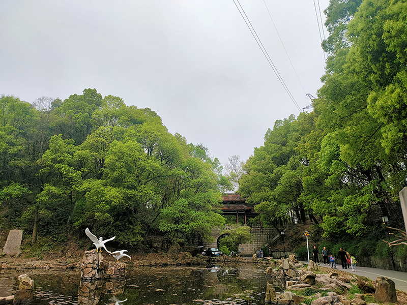 途中风景